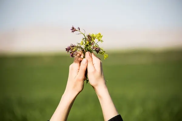 صورة تحتوي على يدين كيفية عمل سحر المحبة والتهييج